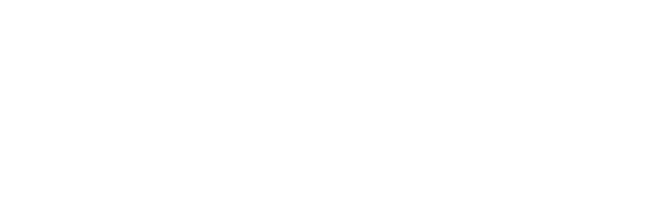 FAEO Academy